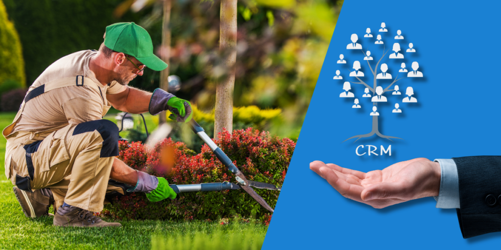 Innovations and Growth in CRM for the Service Industry
